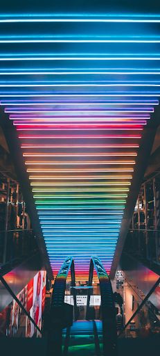 Vibrant marshlands - Screenshot 2