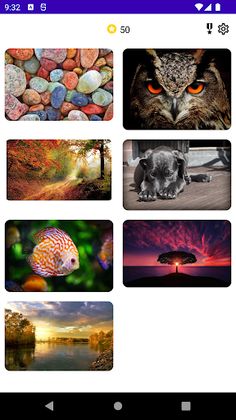 Brain Puzzle - Screenshot 1