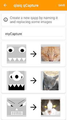 qCapture - Screenshot 4