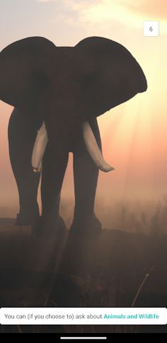 GameQA - Screenshot 2