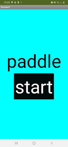 Paddle - Screenshot 1