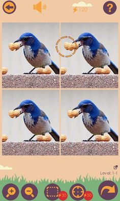 Spot One Odd - Screenshot 2