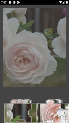 Jigsaw Classic - Screenshot 2