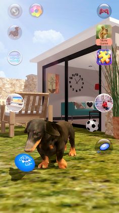 Talking Dogs - Screenshot 3