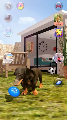 Talking Dogs - Screenshot 3