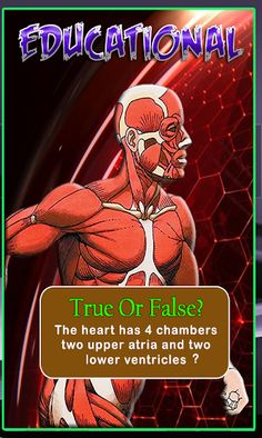 Human Anatomy Education Quiz - Screenshot 3