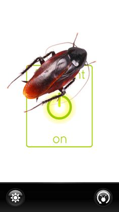 Bugs Light Yeah. A led prank - Screenshot 4