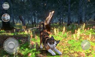 Talking Calico Cat - Screenshot 2