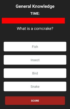 EndlessQuiz - Screenshot 2