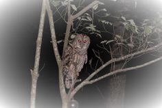 GEOCache Mapper - Screenshot 3