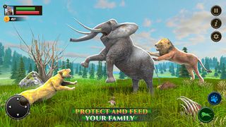 Jungle Kings Kingdom Lion - Screenshot 2