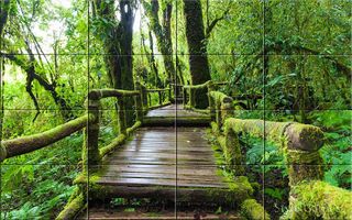 National Parks Puzzle - Screenshot 3