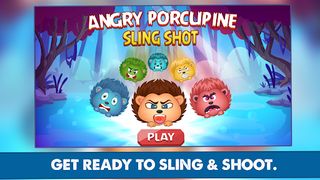 Angry Porcupine - Screenshot 1