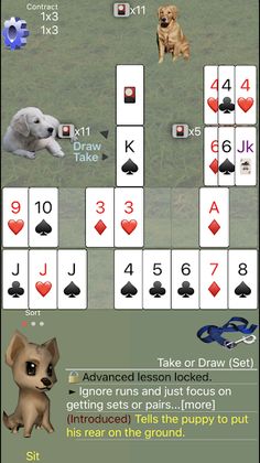 K9 Shanghai Rummy - Screenshot 4