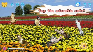 Jumping Cat - touch & tap - Screenshot 2