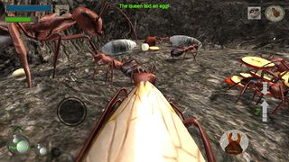 Ant Simulation 3D Full - Screenshot 2