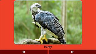 Animals for children - Screenshot 3