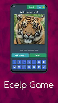 Ecelp Game - Screenshot 3
