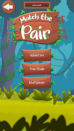 Match the Pair - Screenshot 3
