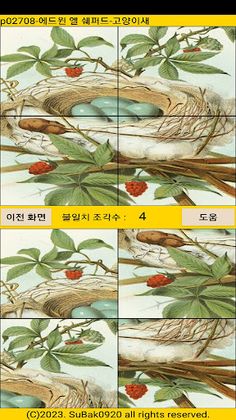 ttpuzzle27 - Screenshot 4