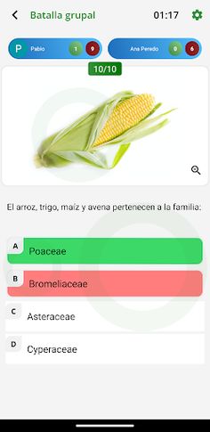 Botanica Morfologica - Screenshot 2