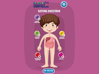 Conhecendo o Corpo Humano - Screenshot 3