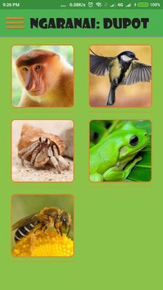 Ngaranai: Dupot - Screenshot 1