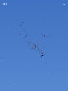 Flocc - Screenshot 3