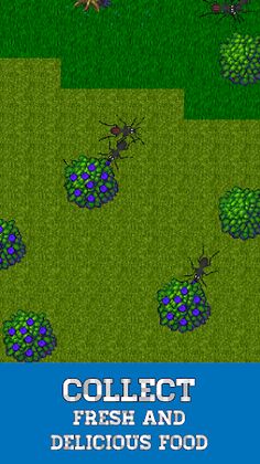 Ant Evolution: Ant Simulator - Screenshot 1
