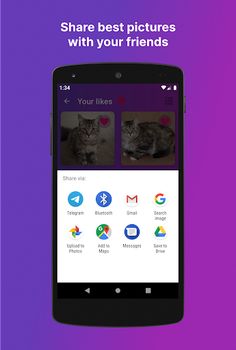 Swipe the Kitten - Screenshot 2