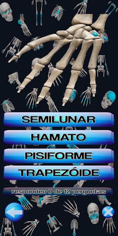 Quiz anatomia fácil 2.0 - Screenshot 3