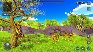 Cheetah Sim Wild Animal Games - Screenshot 2
