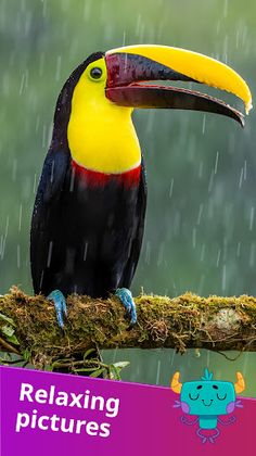 Jigsaw Puzzles: HD Puzzle Game - Screenshot 2