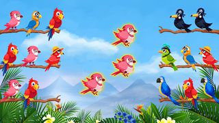 Bird Sort - Puzzle Games - Screenshot 1