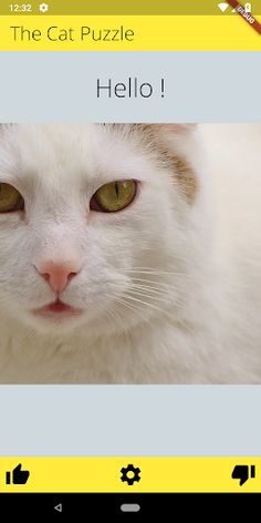 The Cat Puzzle - Screenshot 1