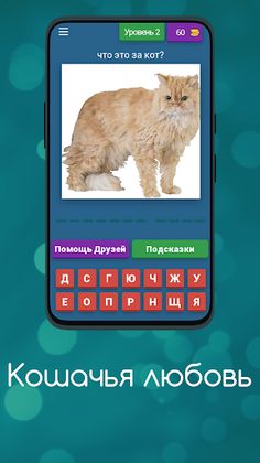 Викторина: Кошечки и Любовь - Screenshot 1