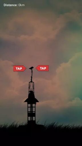 Bird Rush - Screenshot 3