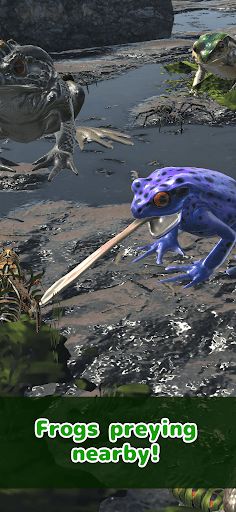 Frog Friends - Screenshot 2
