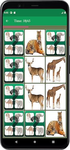 Animal Memory Matching Game - Screenshot 4