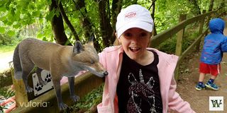 Wanderly - Screenshot 2