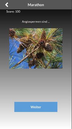 GoMatura Biologie Quiz für Mat - Screenshot 3