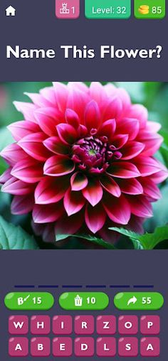 Garden Quiz: Identify Flowers - Screenshot 3