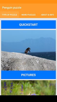 Penguin puzzle - Screenshot 2