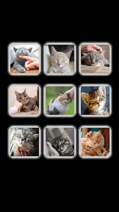 Звуки кошек: мурчание, мяу кот - Screenshot 4