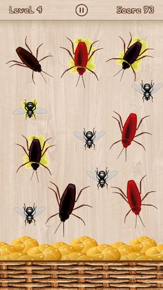 Cockroach Smasher - Screenshot 3