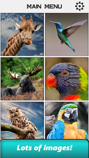 Animal Slide Puzzle - Screenshot 2