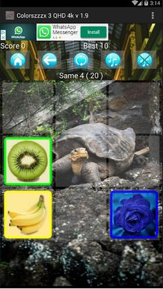 Colorszzzx 3 qhd 4k - Screenshot 1