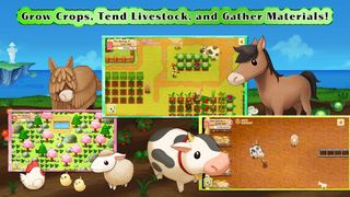 Harvest Moon: Light of Hope - Screenshot 2