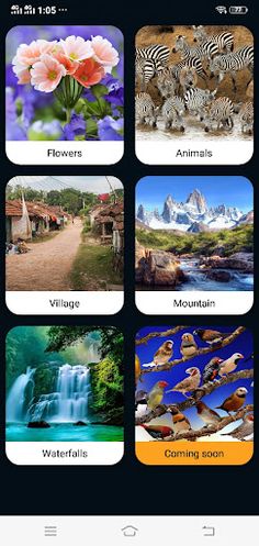 AAM Puzzle - Screenshot 3