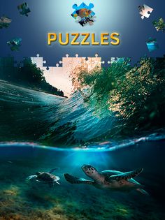 Free Dolphin Jigsaw Puzzles - Screenshot 2